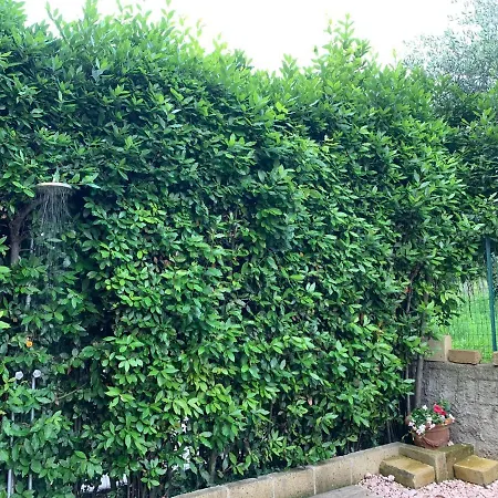 Homestay A Casa Di Lidia 15 Min Dal Di Garda E Verona Centro Vicinissima Terme Acquardens *